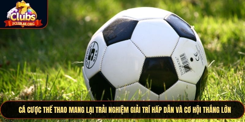 Cá cược thể thao mang lại trải nghiệm giải trí hấp dẫn và cơ hội thắng lớn