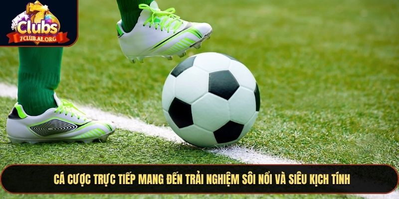 Cá cược trực tiếp mang đến trải nghiệm sôi nổi và siêu kịch tính 