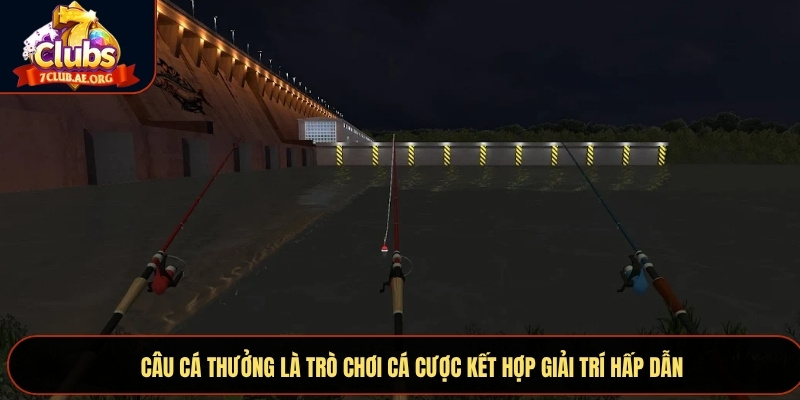 Câu cá thưởng là trò chơi cá cược kết hợp giải trí hấp dẫn