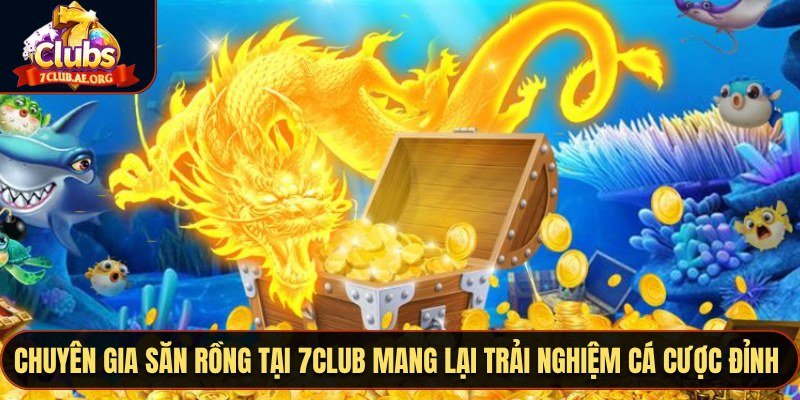 Chuyên gia săn rồng tại 7CLUB mang lại trải nghiệm cá cược đỉnh cao