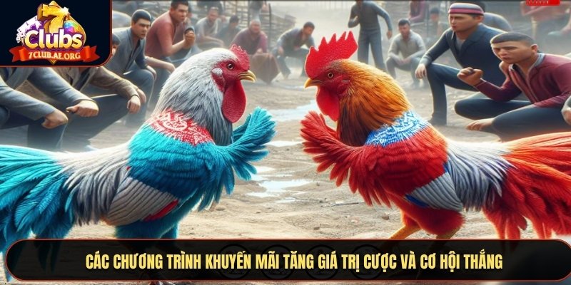 Các chương trình khuyến mãi tăng giá trị cược và cơ hội thắng