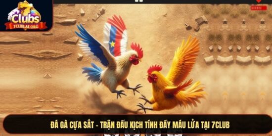 Đá gà cựa sắt