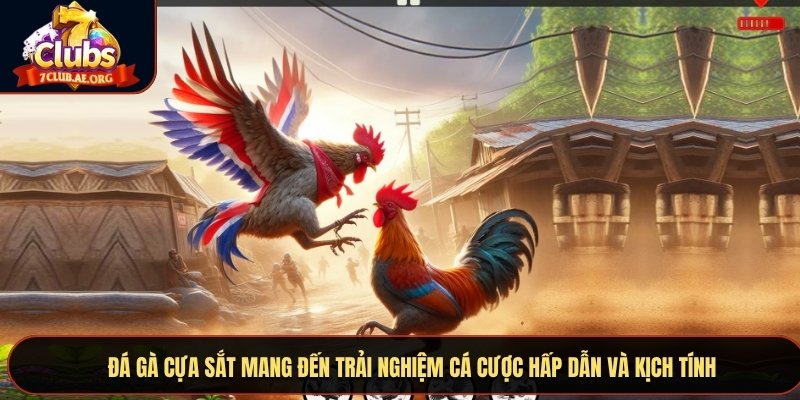 Đá gà cựa sắt mang đến trải nghiệm cá cược hấp dẫn và kịch tính