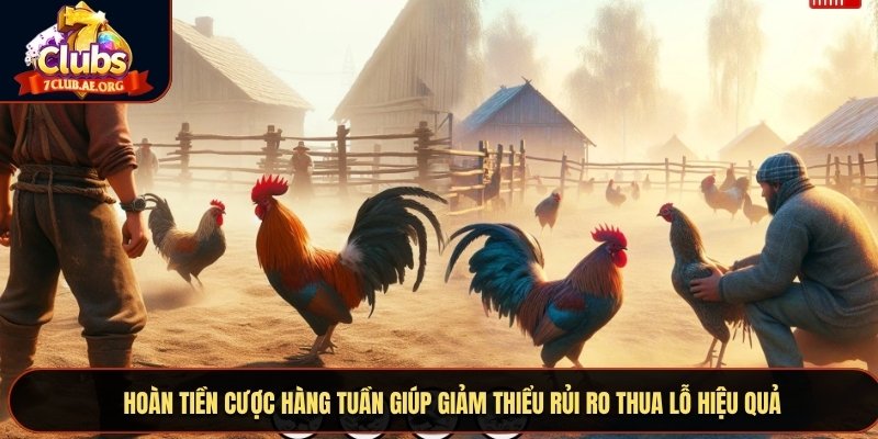 Hoàn tiền cược hàng tuần giúp giảm thiểu rủi ro thua lỗ hiệu quả