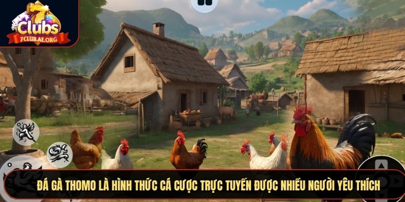 Đá gà Thomo là hình thức cá cược trực tuyến được nhiều người yêu thích